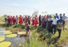 मखाना की खेती से आत्मनिर्भरता की ओर बढ़ रहीं धमतरी की महिलाएं