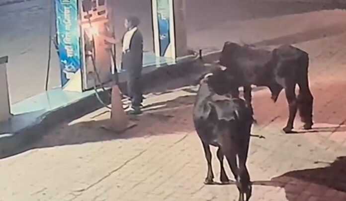 पेट्रोल पंप में आगजनी की घटना सीसीटीवी में कैद