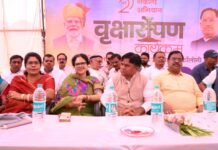मसान डबरा में 76 पौधे रोपकर दिया हरियाली का संदेश, 34 कमार परिवारों के लिए विकसित कॉलोनी भी बनी मिसाल