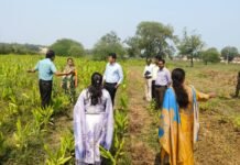 मखाना उत्पादन को बढ़ावा देने निर्माणाधीन डबरियों का सीईओ जिला पंचायत ने किया निरीक्षण